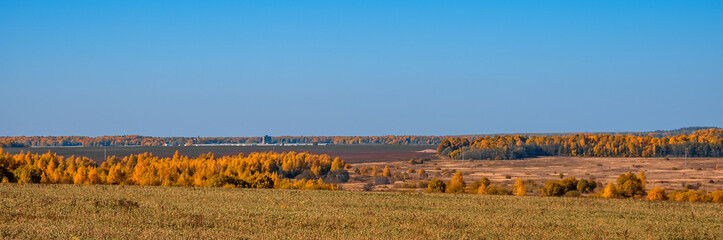 Wall Mural - Beautiful colored autumn landscape