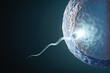 © Thannaree - Sperm swimming towards the egg with light effect in a dark background. 3D Illustration Rendering.
