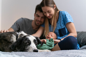 The dog of the family meets the newborn baby in the bedroom at home