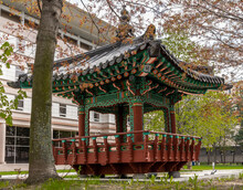 Oriental-style Gazebo In The Park In Spring Against A Background Of Green Trees