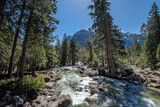 Fototapeta Krajobraz - Landschaft mit Bach im Yosemite National Park