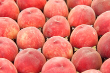 Fuzzy Freestone Peaches In Display Shipping Container At Farmer's Market