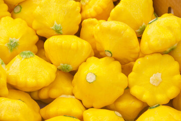 Above view of yellow pattypan summer squash piled for sale at Farmer's Market.