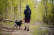 Mężczyzna spacerujący ze swoim psem w wiosennym lesie