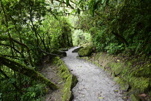 Forest Road To Entrance To Pailon Del Diablo, Wonderful Waterfall In America Latina. Banos.