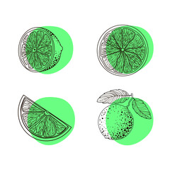 Wall Mural - Set of four limes - round slices, on a twig, a half and a piece in the style of black doodles on a green spot. Citrus. Minimalistic style. Illustration isolated on white background