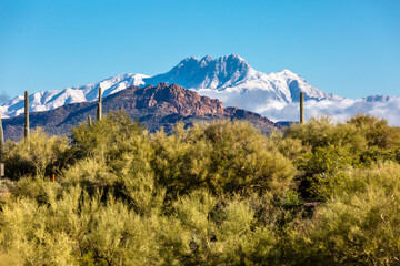 Wall Mural - Four Peaks 2 Arizona