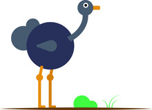 Professional Drawing Of An Ostrich In Illustrator With Green Grass On A White Background