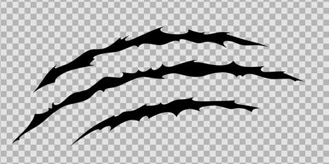 claw scratches of wild animal. cat scratches marks isolated in transparent background. monochrome ve