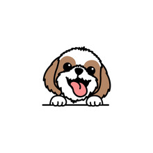Funny Shih Tzu Dog Cartoon, Vector Illustration