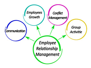 Sticker -  Core Issues for Employee Relationship Management (ERM)