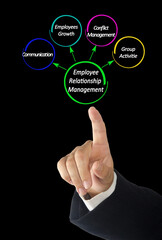 Sticker -  Core Issues for Employee Relationship Management (ERM)