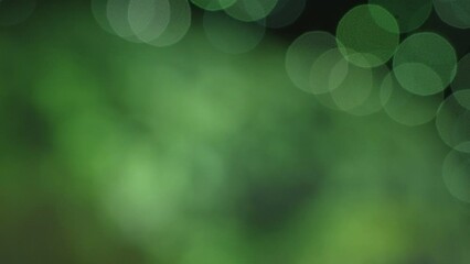 The green bokeh lights on the background inside the room in Estonia