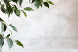 Fototapeta  - empty space and ficus leaves, natural background