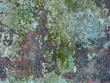 Old grunge textures backgrounds. with space.