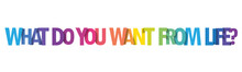 WHAT DO YOU WANT FROM LIFE? Colorful Vector Typography Slogan