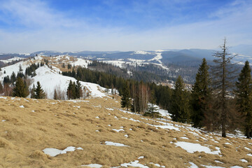 Wall Mural - spring day in mountains