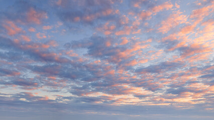 Wall Mural - pink blue sky with fluffy clouds at beautiful sunset as natural background.