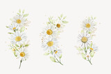 hand drawn daisy floral bouquet background design