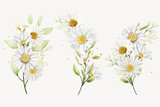 hand drawn daisy floral bouquet background design