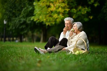 Sticker - Portrait of elderly couple having a picnic in the summer