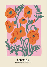 Vector Illustration Botanical Poster With Poppy Flowers. Art For For Postcards, Wall Art, Banner, Background.