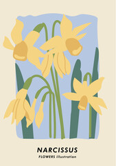 Wall Mural - Vector illustration botanical poster with narcissus flowers. Art for postcards, wall art, banner, background.