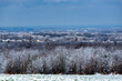 Bielsko-Biała, zimowa panorama, śnieg, drzewa, domy, horyzont.