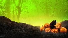 3d Rendering ,  Halloween Design With Pumpkin And Black Cat