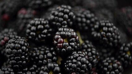 Poster - Blackberry closeup background. Fresh Ripe organic black berries, rotation backdrop close-up. Bio Blackberries top view, flat lay background. Macro shot. Market. Healthy vegan food. 