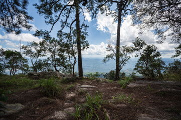 Wall Mural - Beautiful scenery view of deang Cliff on Phu Kradueng mountain national park in Loei City Thailand.Phu Kradueng mountain national park the famous Travel destination