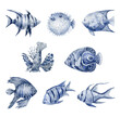 Set of blue sea fishes.
