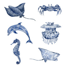 Set Of Sea Animals. Underwater World.