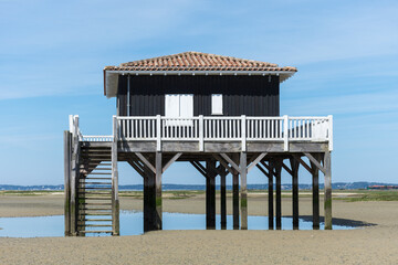 Bassin d’Arcachon, France. Une des célèbres cabanes tchanquées sur l’île aux Oiseaux