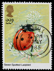 briefmarke stamp vintage retro alt old may 1985 Marienkäfer Ladybird Ladybug seven spotted insekt insect rot red klee clover redhill england uk gb 22p post letter mail