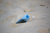 Fototapeta  - Plastikowe odpadki butelka pozostawiona na plaży. 	