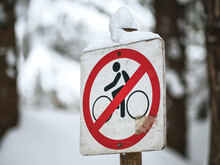 No Bicycles Allowed Sign. Road Sign Prohibits Using Bikes On A Trail. Limitation Od Outdoors Cycling.