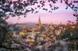 © plpictures by Paedii Luchs/Stocksy - Old city of Bern spring sunrise
