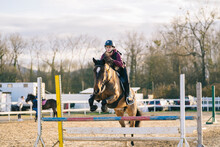 Female Jockey On Horse Leaping Over Obstacle