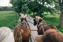 Being Pulled By Horses