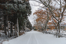 A Quiet Country Road Covered With Snow.