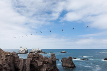A Group Of Seagulls Flying Over Huge Rocks In The Sea