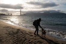 Jules And Their Siberian Husky Playing By Golden Gate Bridge Beach 