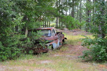 Old Chevy Pickup In Junkyard