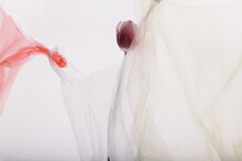 Plastic Bag And A Tulip