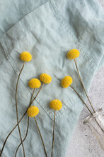 Yellow flowers on blue linen