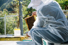 The Beekeeper Works In The Apiary
