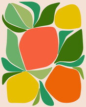 Colorful Abstract Citrus Fruit Drawing