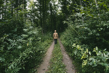 Man Walking In Green Forest