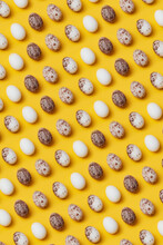 Seamless Pattern Of Quail Eggs On Yellow Background